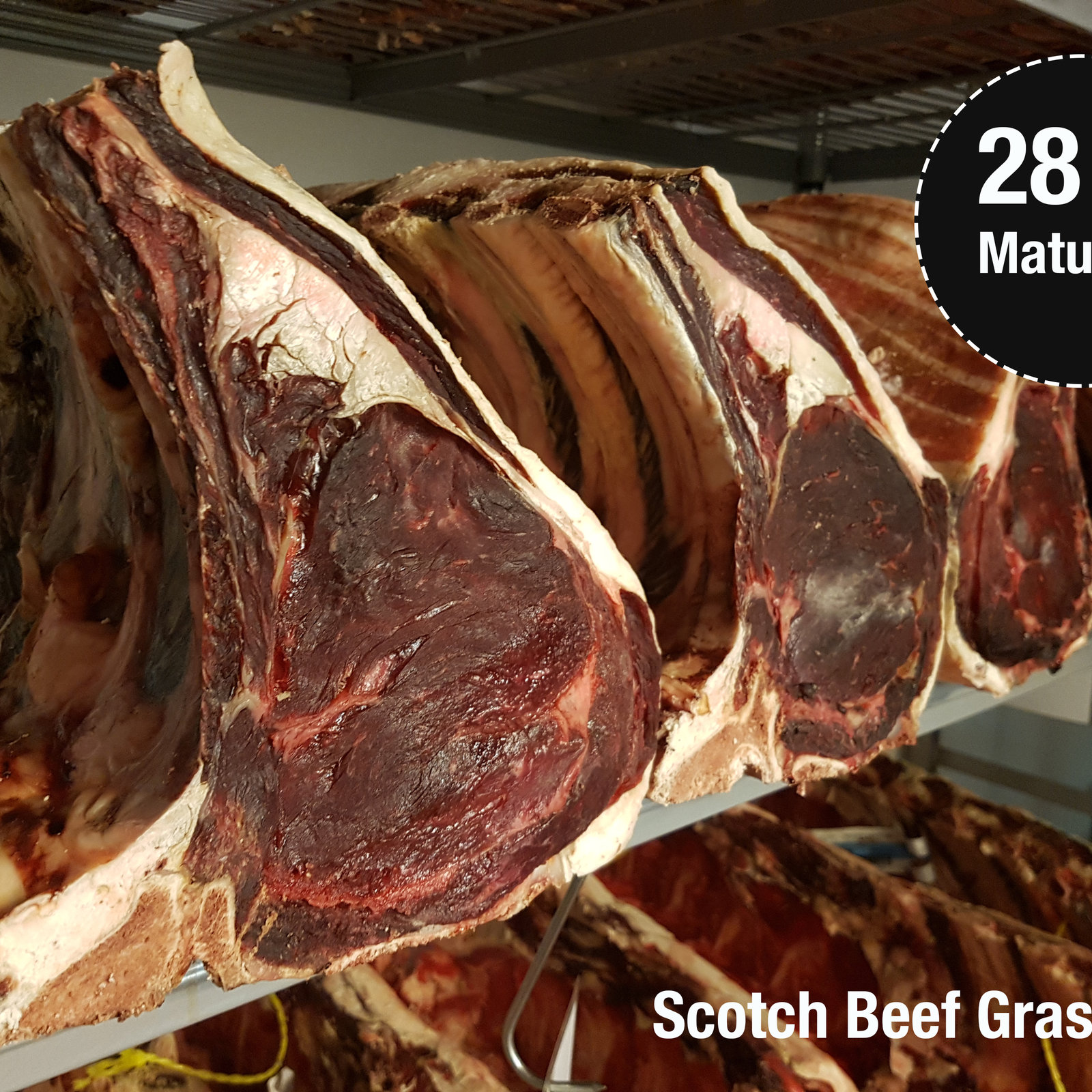 Whole sides of Scottish beef dry-ageing on the bone in the Crombies cold room, deep-red and marbled beneath a maturing sign